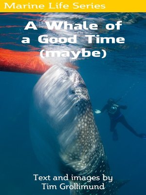 cover image of A Whale of a Good Time (Maybe)